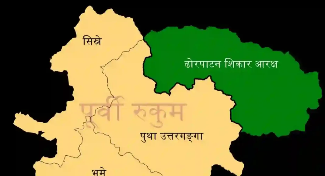 794239530Screenshot-2025-07-31-201219